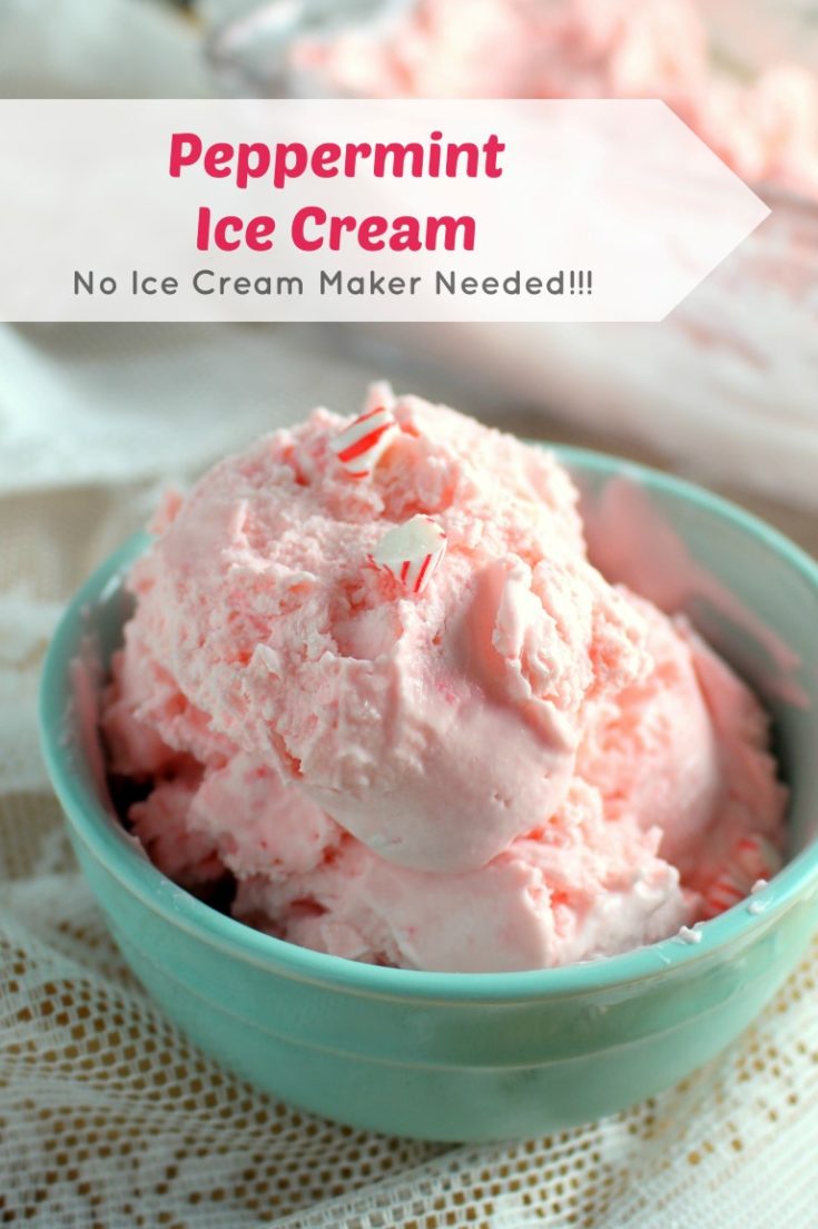 No Churn Peppermint Ice Cream - Chocolate With Grace