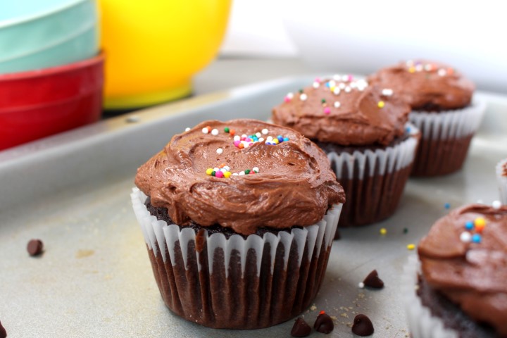 Chocolate Birthday Cupcakes. Who wouldn't love a rich chocolate cupcake with fluffy milk chocolate frosting for their birthday!?!? Be sure not to forget the sprinkles.