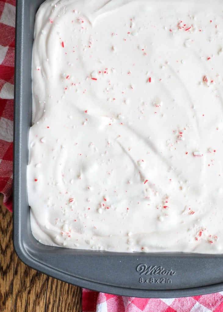 No Churn Peppermint Ice Cream