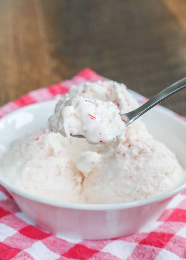 No Churn Peppermint Ice Cream 