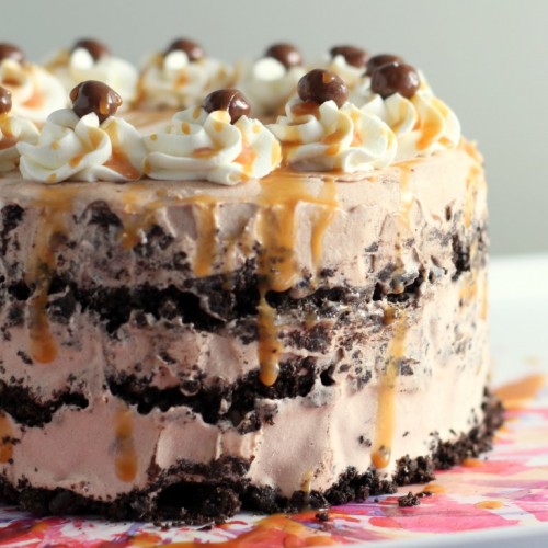 Amazing Oreo Ice Cream Cake Recipe with Caramel - Cooking with Mamma C