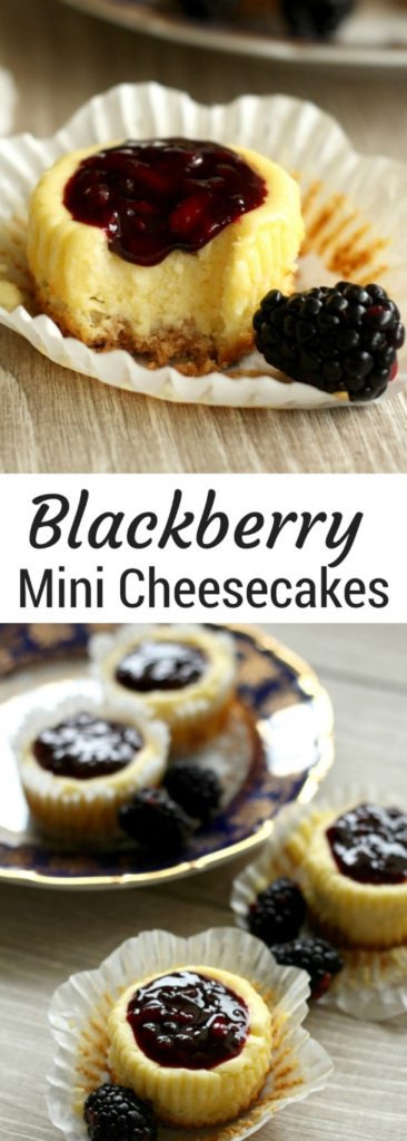 Cute mini blackberry cheesecakes made in a muffin tin with blackberry filling on top. Perfect sized portions of cheesecake to take with you for picnics, potlucks and parties. A fun summer dessert.