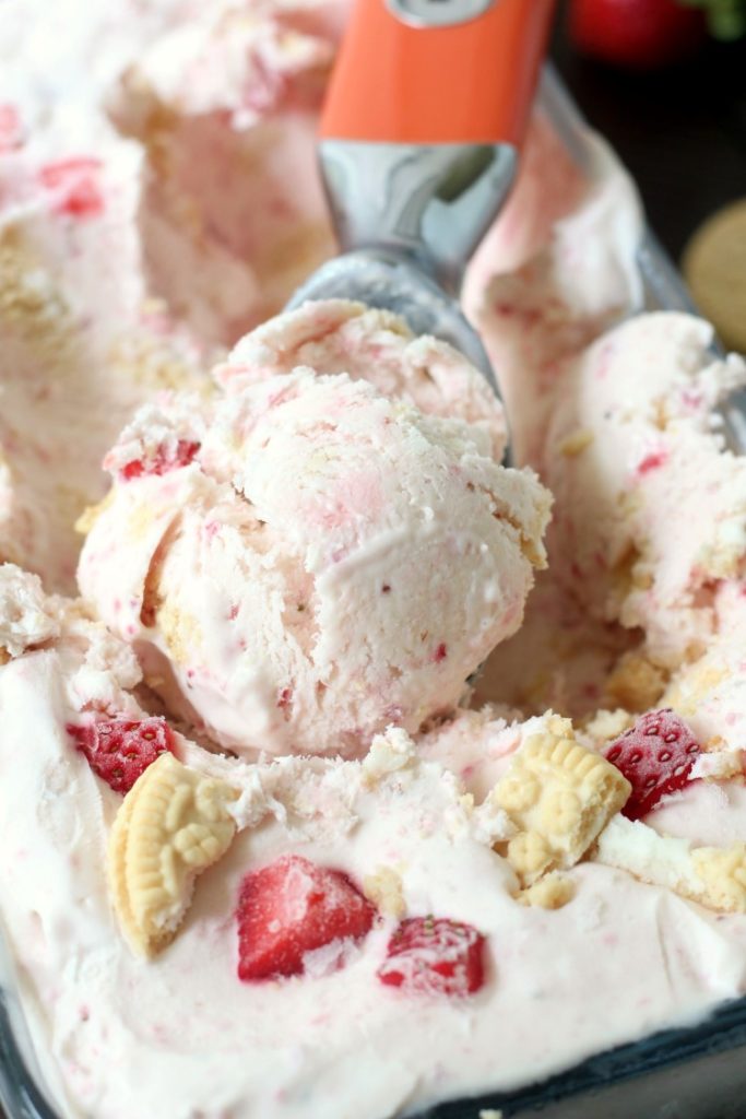 Strawberry Shortcake Ice Cream (5) - Chocolate With Grace