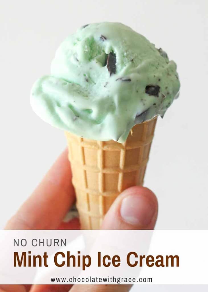 Homemade Mint Chip Ice Cream