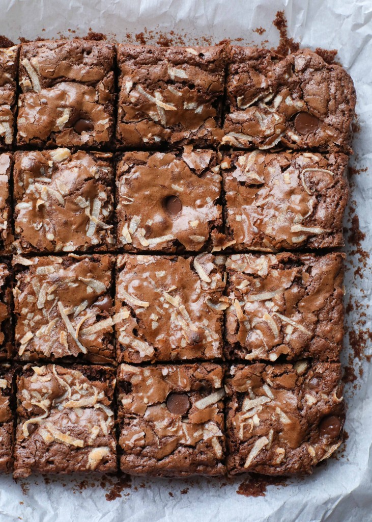 Coconut Brownies with melting chocolate chips