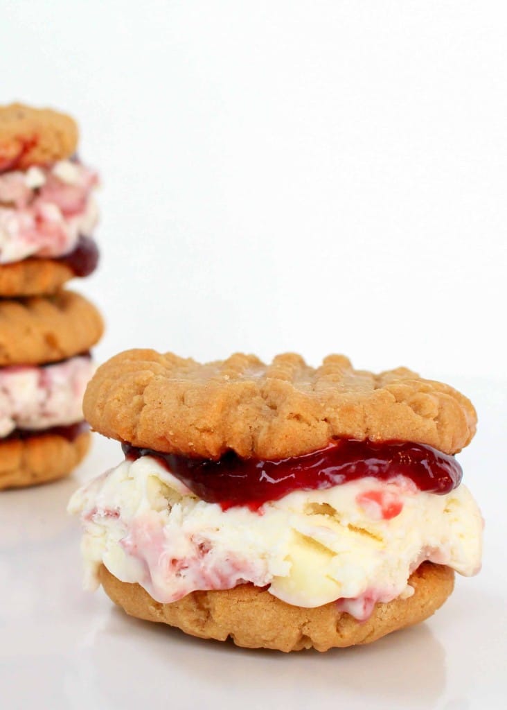 Peanut Butter and Jelly Ice Cream Sandwich