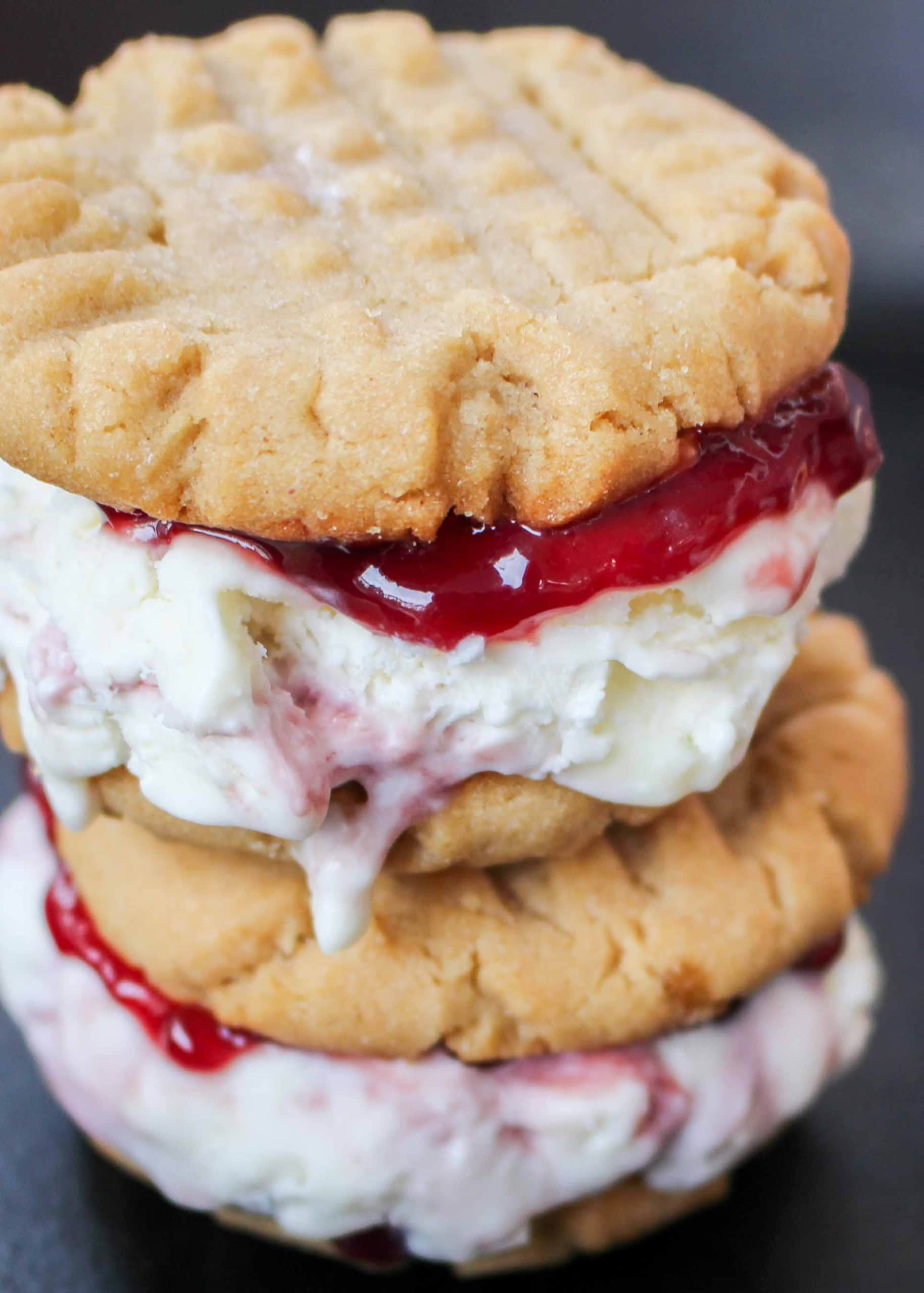 Peanut Butter and Jelly Ice Cream Sandwich - Chocolate with Grace