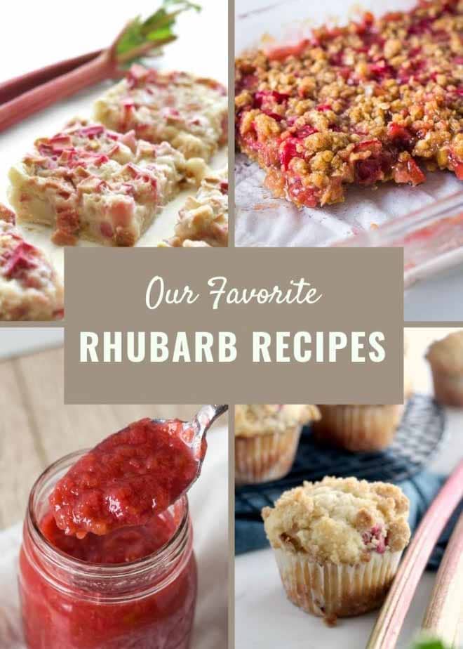 Best Rhubarb Recipes