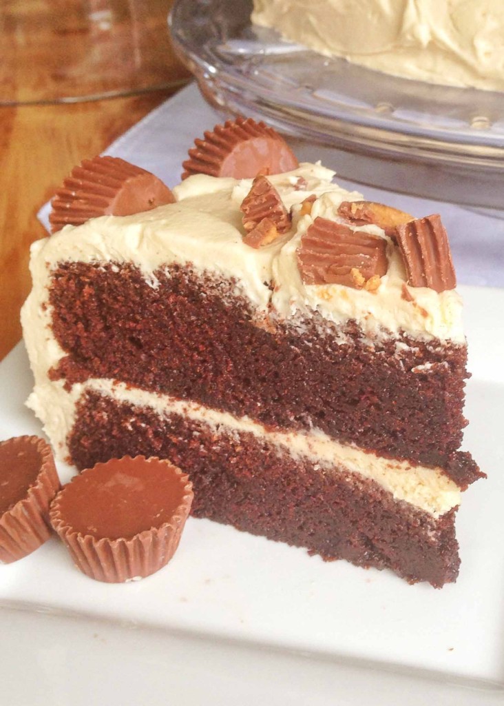 Chocolate Cake with Peanut Butter Frosting slice with Reese's cups