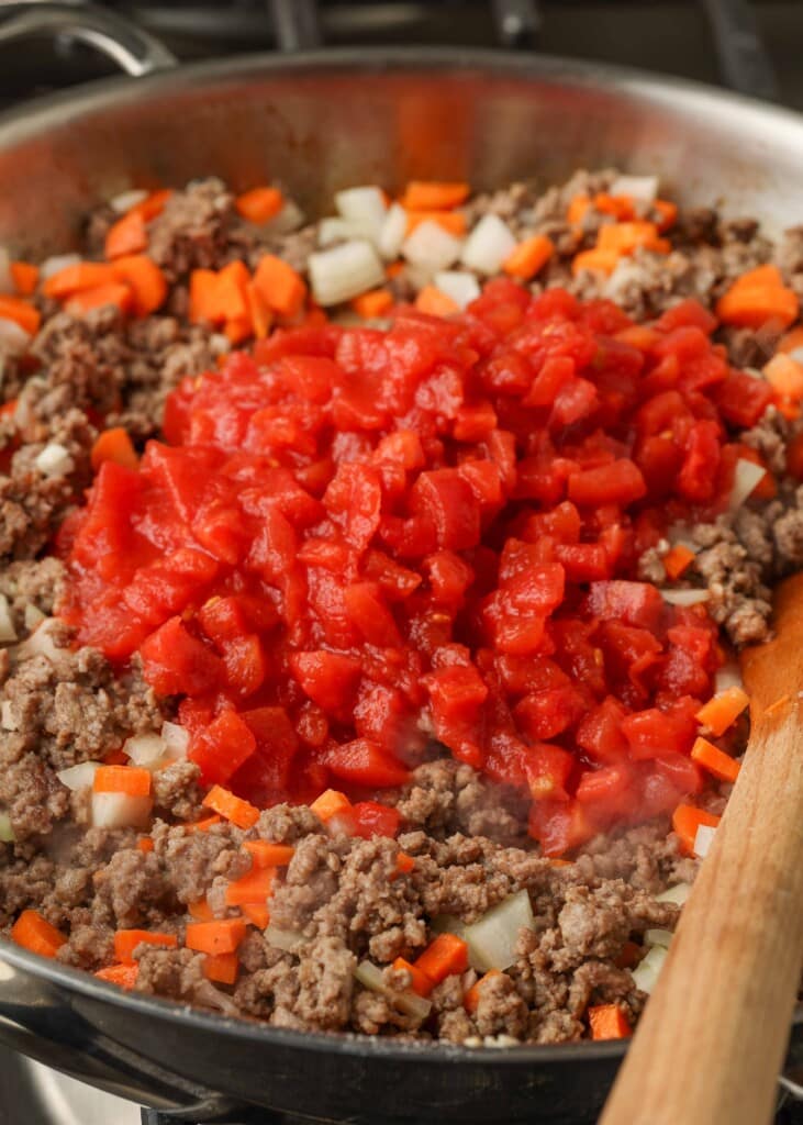 Ground beef, petite diced tomatoes, carrots, onion