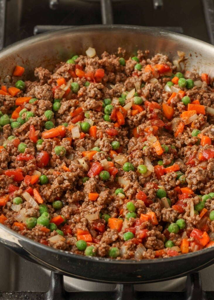 Mixed ground beef, diced tomatoes, carrots, peas, and onions