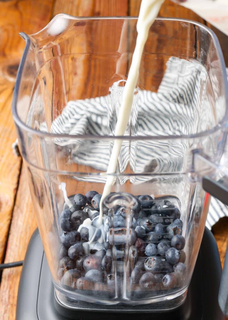 blueberries and milk in blender