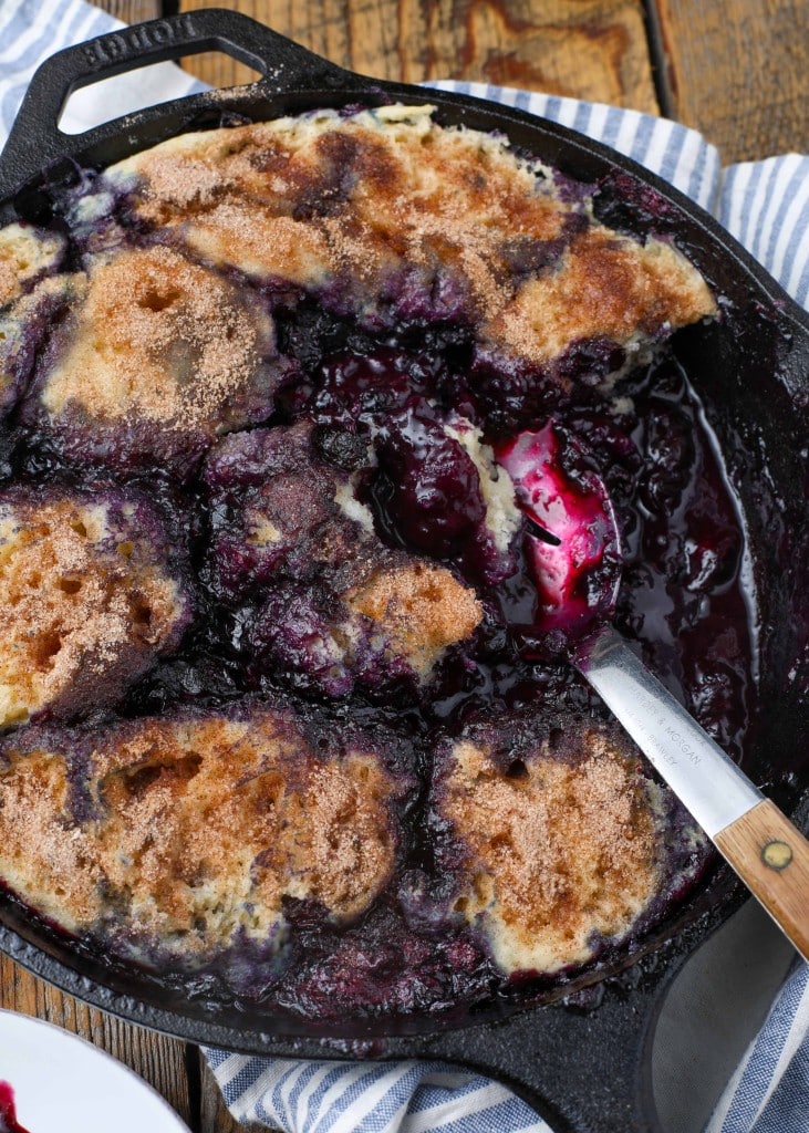 blueberry filling with dumplings
